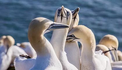 广州医药集团有限公司原党委书记、董事长李楚源被通报