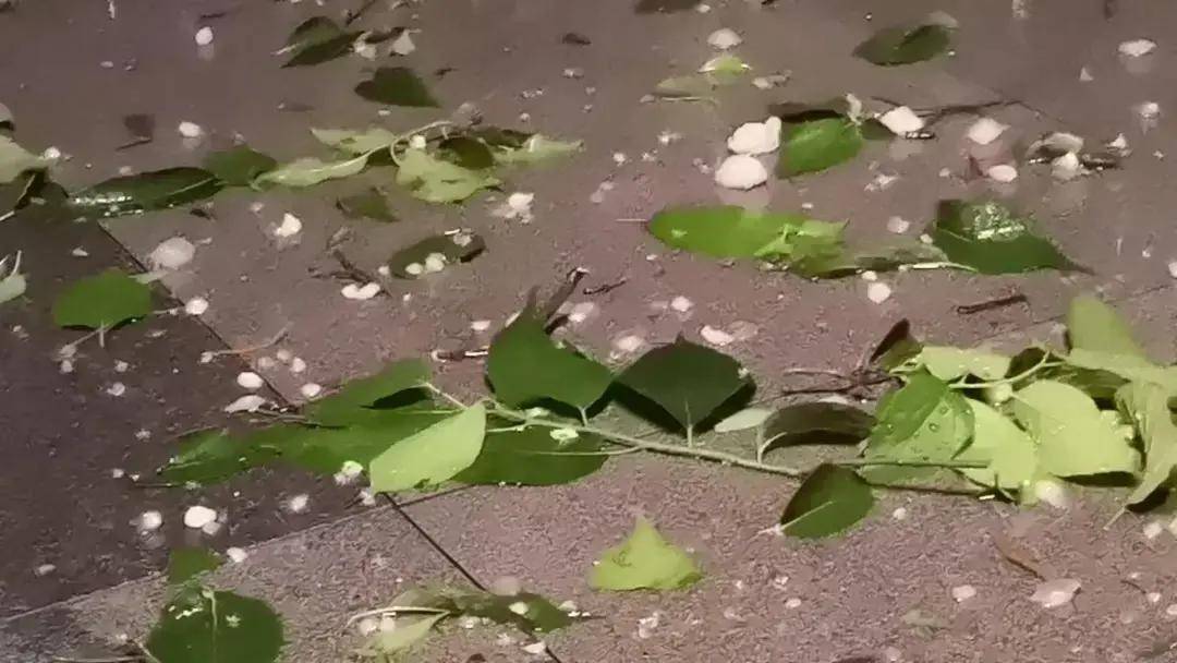 北京昨晚冰雹大如鸽子蛋！行人冒雨骑车被砸，有车辆桥下躲雹致交通拥堵
