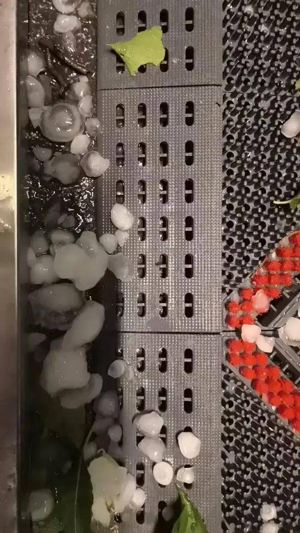 北京昨晚冰雹大如鸽子蛋！行人冒雨骑车被砸，有车辆桥下躲雹致交通拥堵