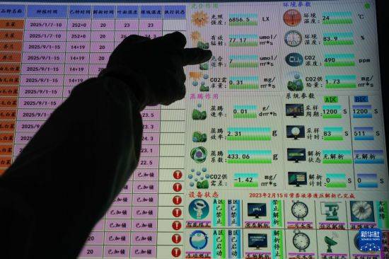 “植物工厂”里看丰收智慧