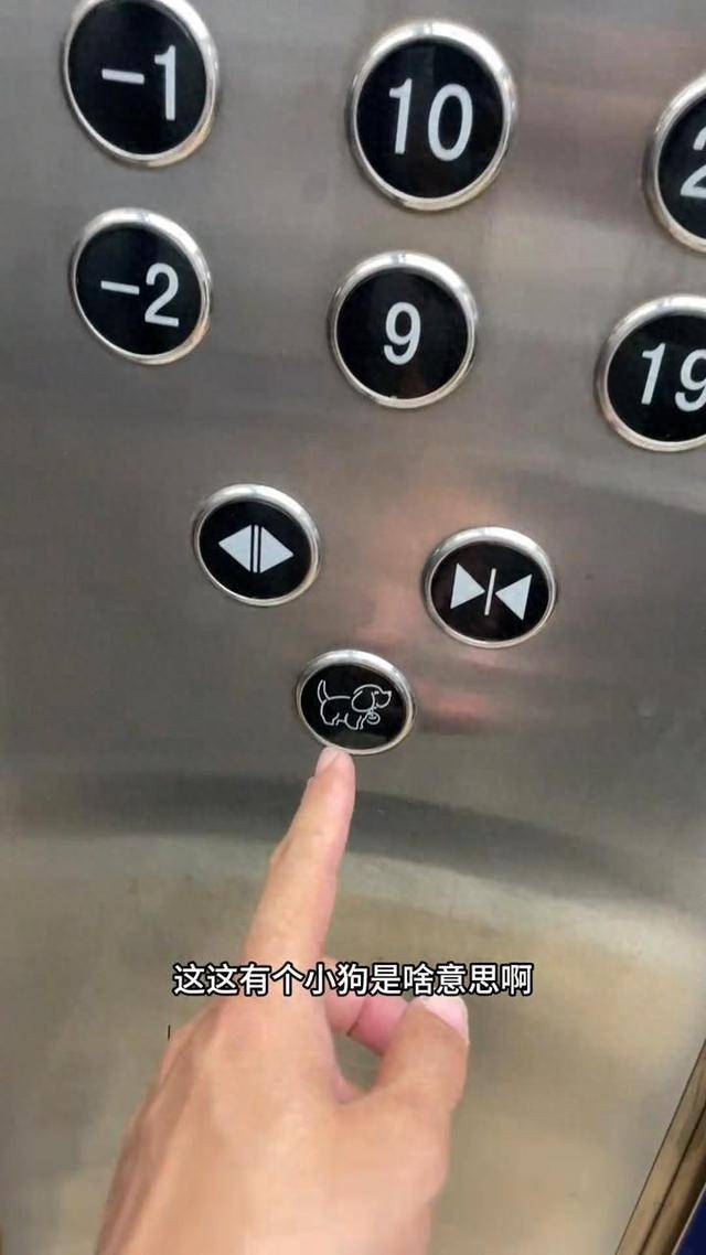 沈阳一小区电梯设“小狗按钮”，可通过按钮亮熄判断电梯里是否有狗，新款还有摄像头识别功能