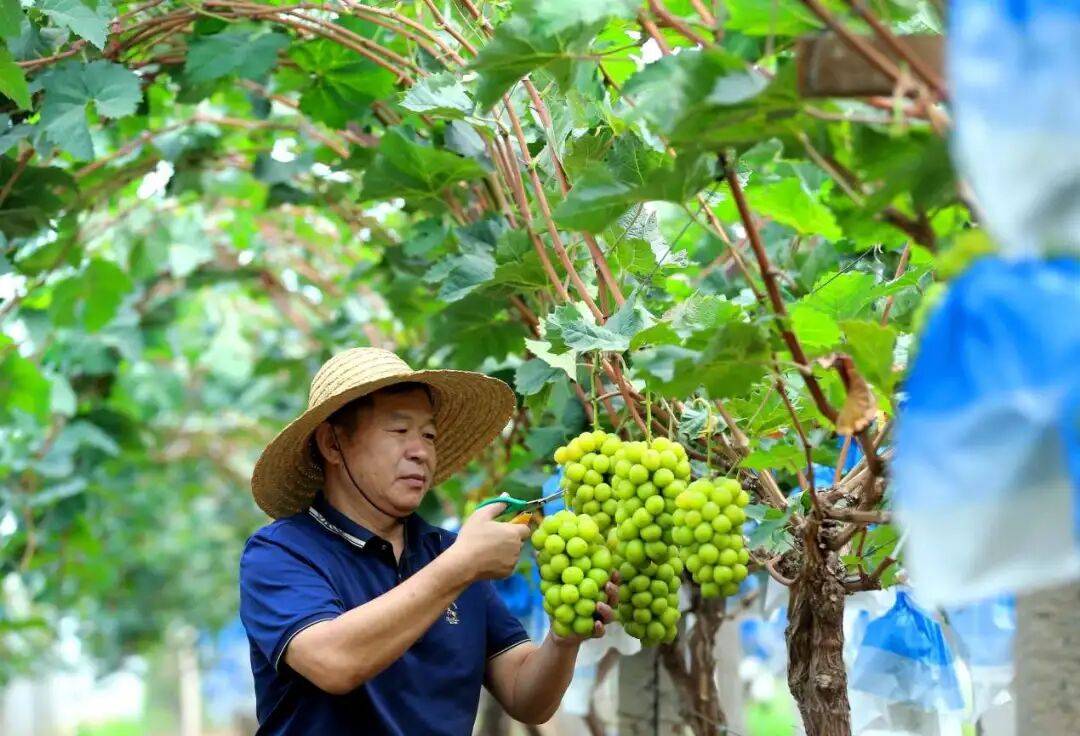 “双节”假期，青岛地铁运营有调整！