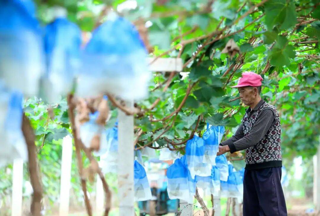 “双节”假期,青岛地铁运营有调整!