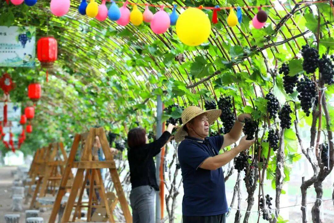 “双节”假期,青岛地铁运营有调整!