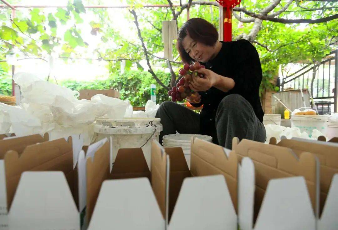 “双节”假期,青岛地铁运营有调整!