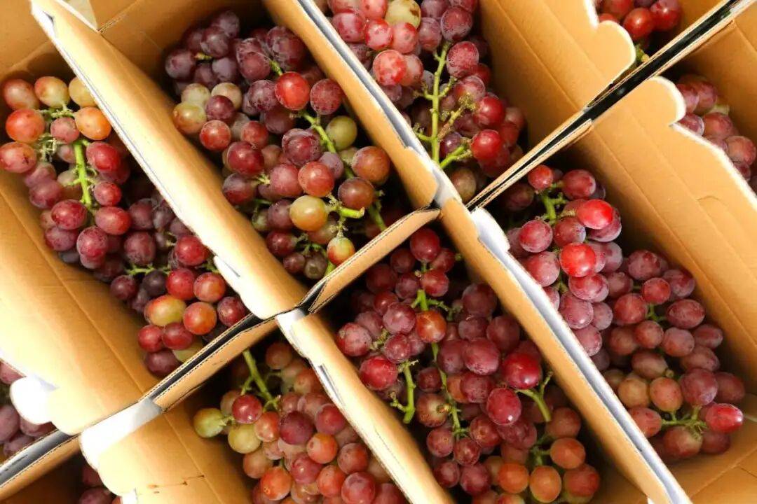 “双节”假期,青岛地铁运营有调整!