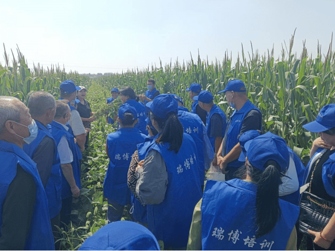 “双节”假期,青岛地铁运营有调整!