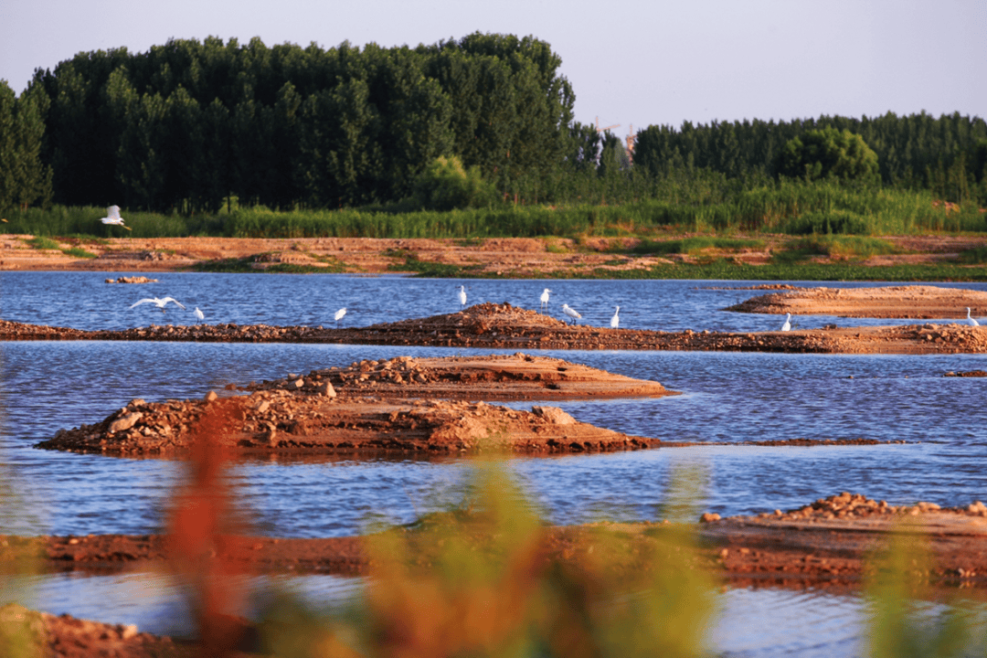 “双节”假期,青岛地铁运营有调整!