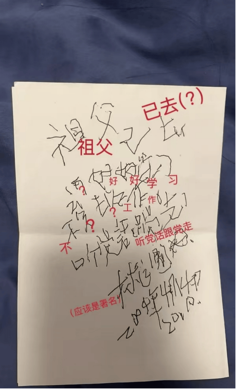 “这是奶奶去世前一周写的字,想请朋友们帮忙辨认一下……”