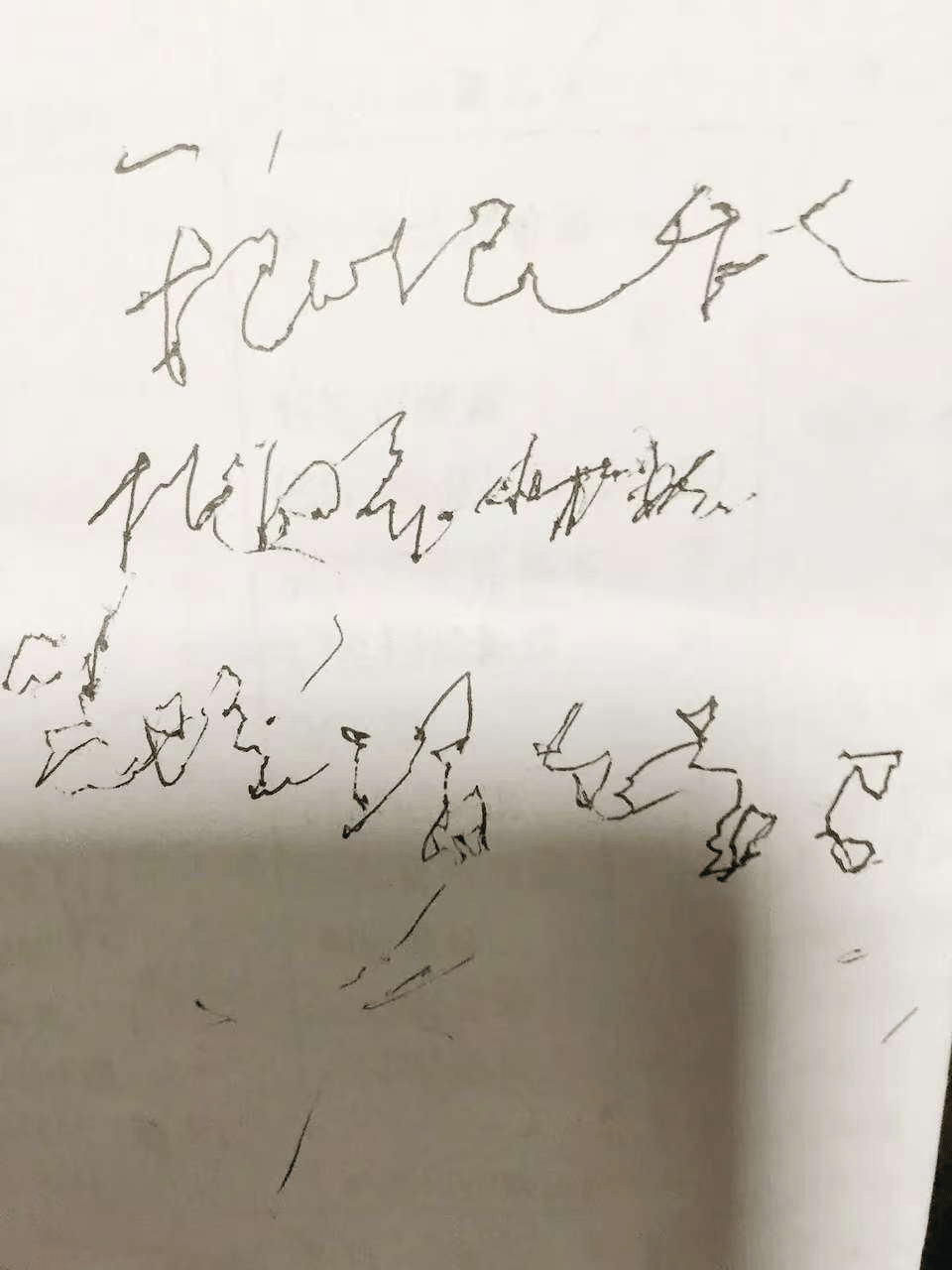 “这是奶奶去世前一周写的字,想请朋友们帮忙辨认一下……”