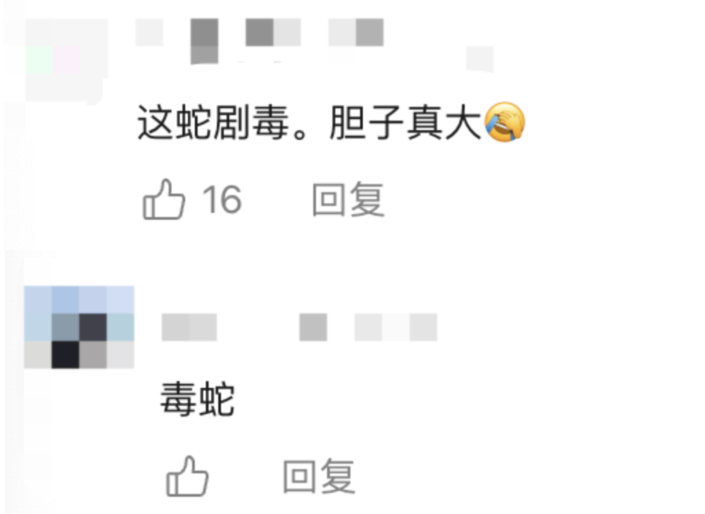 后怕!驴友爬山捡到幼蛇轮流抚摸,专家:有剧毒