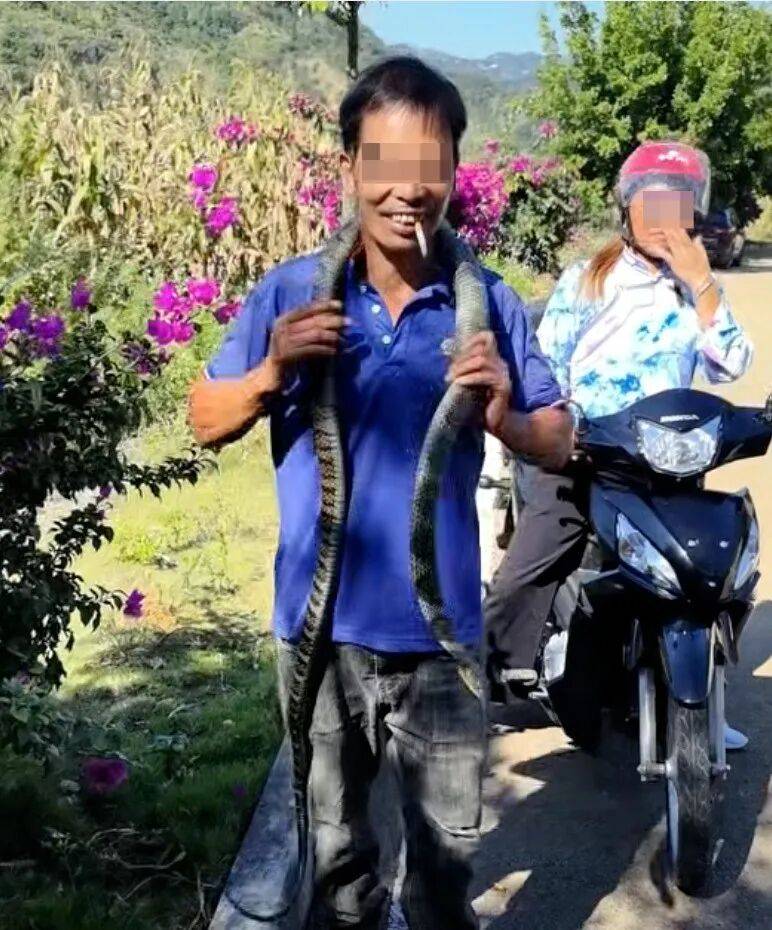 后怕!驴友爬山捡到幼蛇轮流抚摸,专家:有剧毒