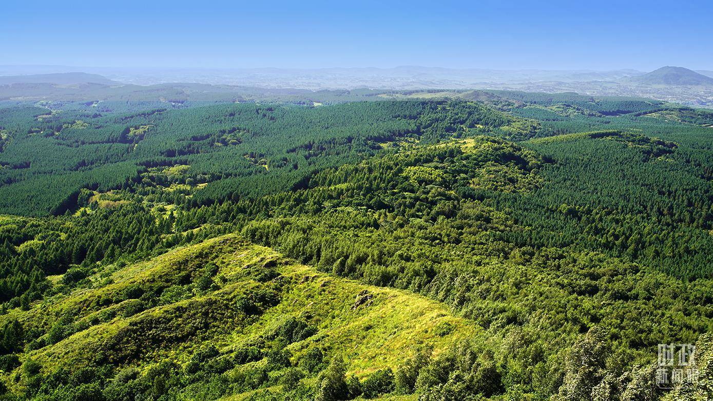时政新闻眼丨未来五年怎么干?党的二十届四中全会擘画发展蓝图