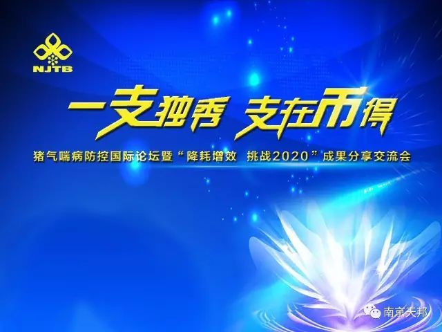 邦币(邦币是什么)