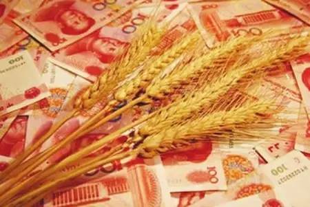 农币网(浓鼻涕是风寒还是风热)