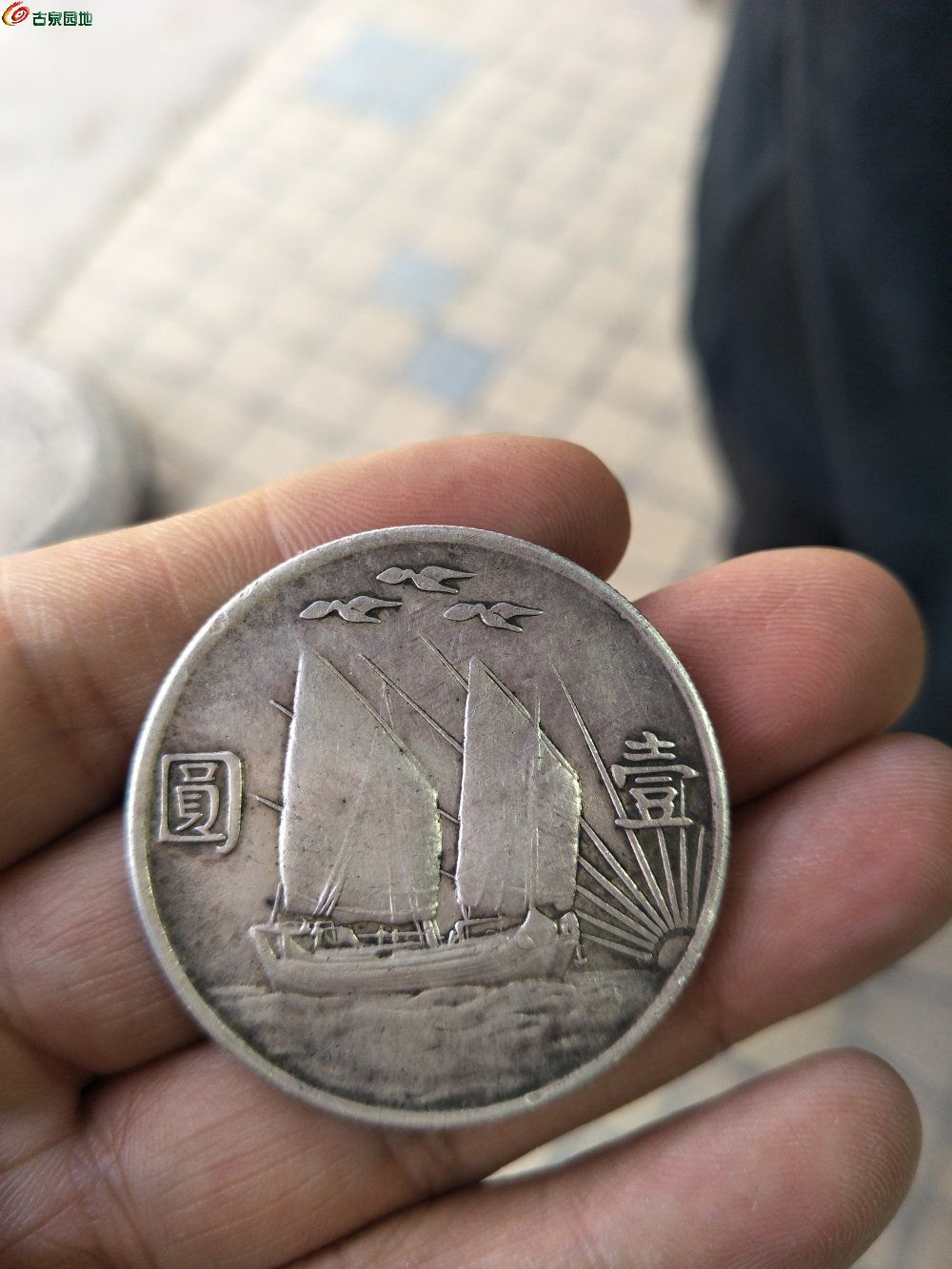 三鸟币(三鸟币真假对照图片)