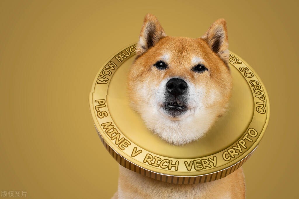币l(币圈牛市2024还是2025)
