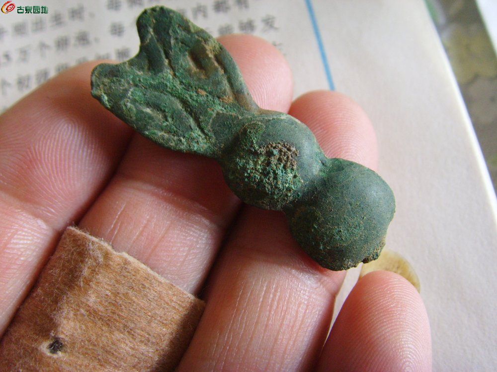 兔子币(兔子币行情)