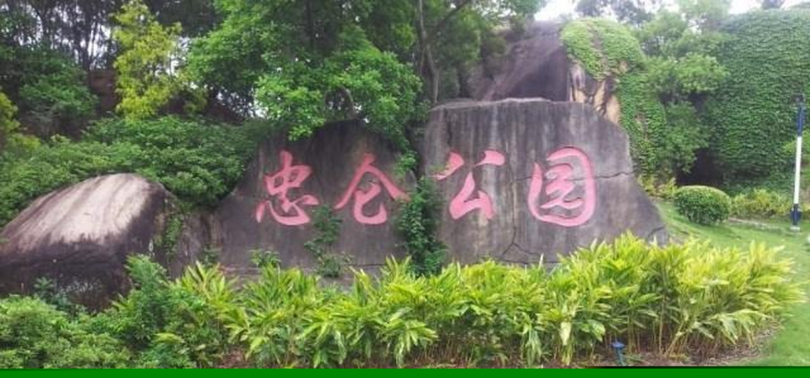 币仑(吡仑帕奈片说明书)