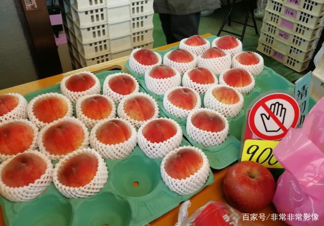 桃子币(jup币是什么币)