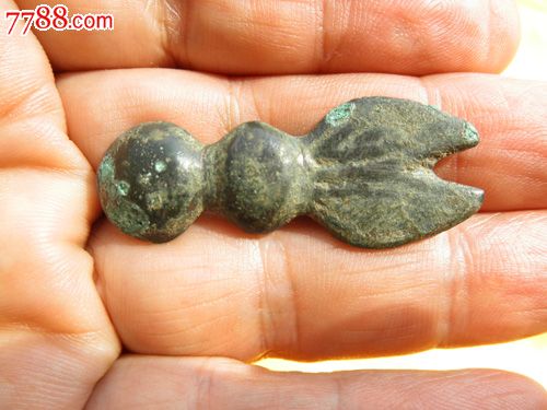 兔子币(兔子的英文)