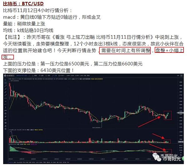 币哥阳光(阳光币app下载)