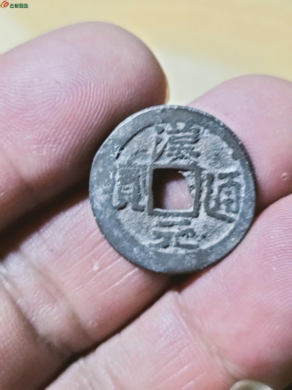 汉币(汉币值多少钱)