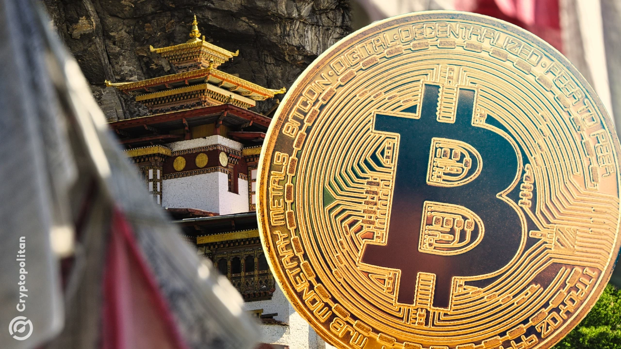 比特币地址(比特币地址查询入口) 比特币地址(比特币地址查询入口)