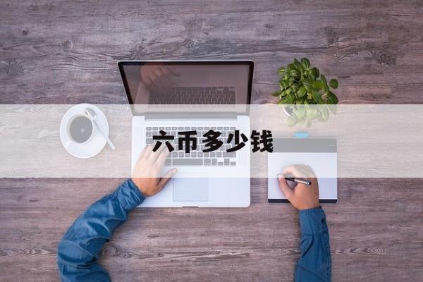 六币多少钱(六币是什么直播平台)